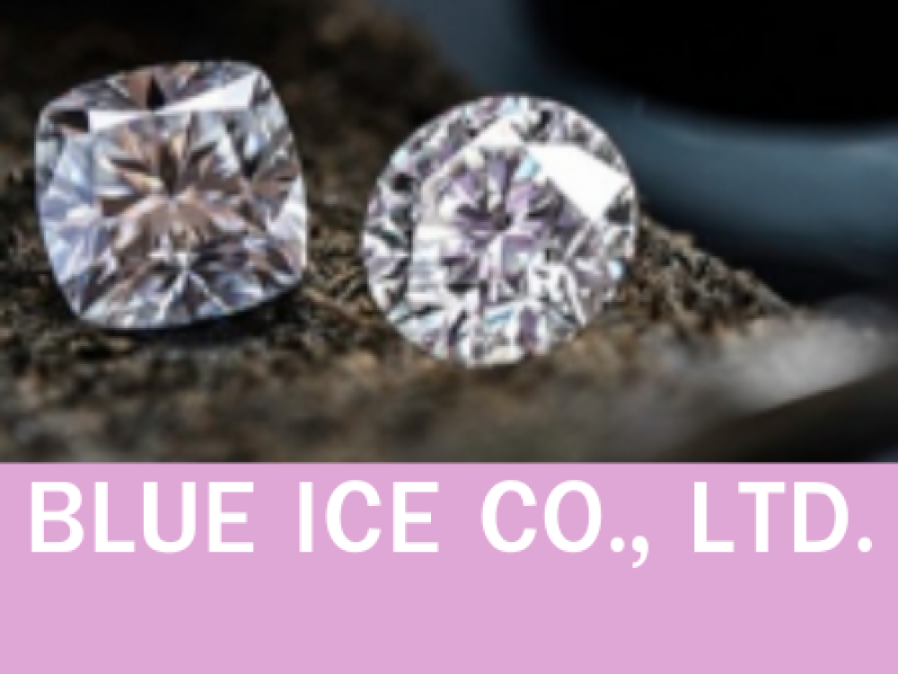 BLUE ICE CO., LTD.