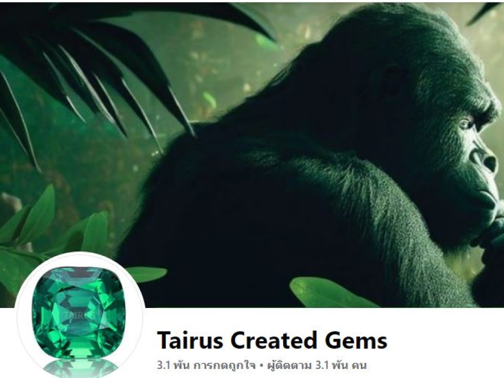 Tairus Created Gems Co.,Ltd.