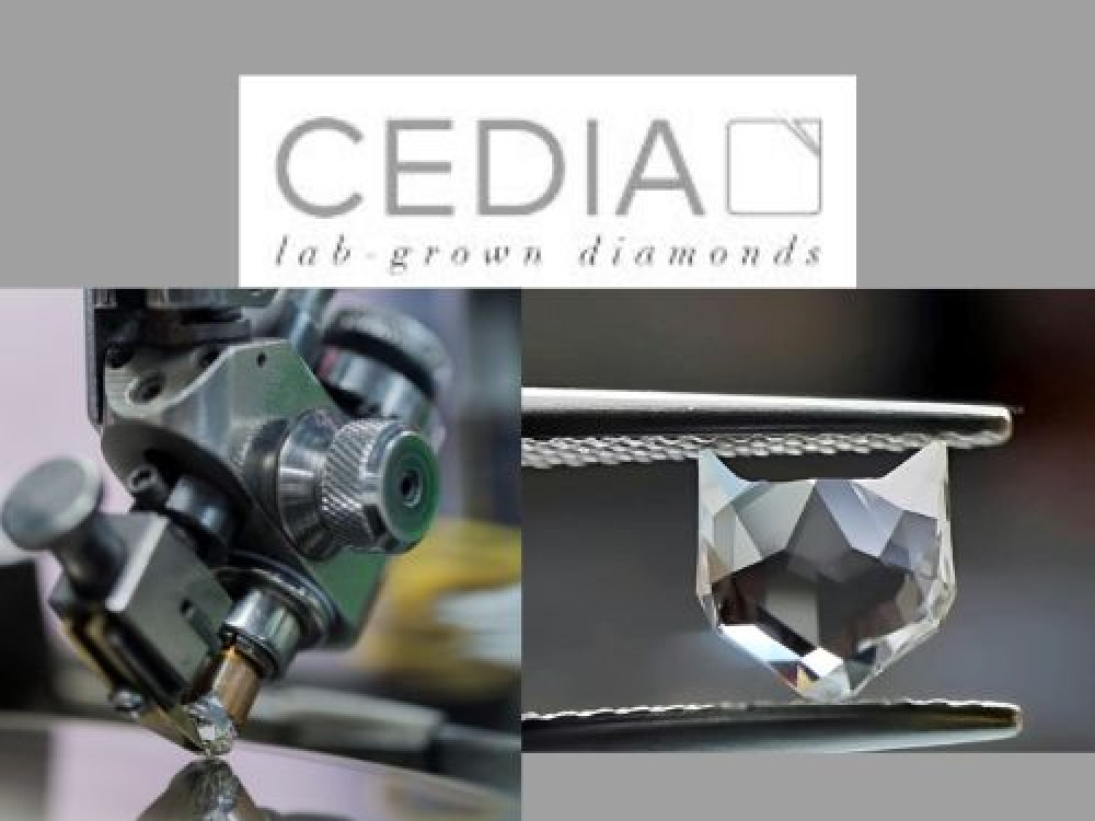 Cedia Co., Ltd.
